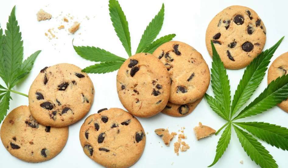 Cannabis Infused Chocolate Chip Cookies