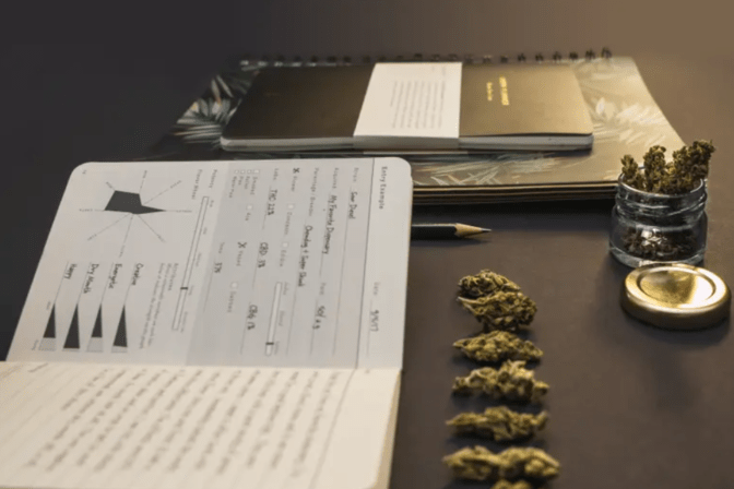 How to join marijuana club in Barcelona?