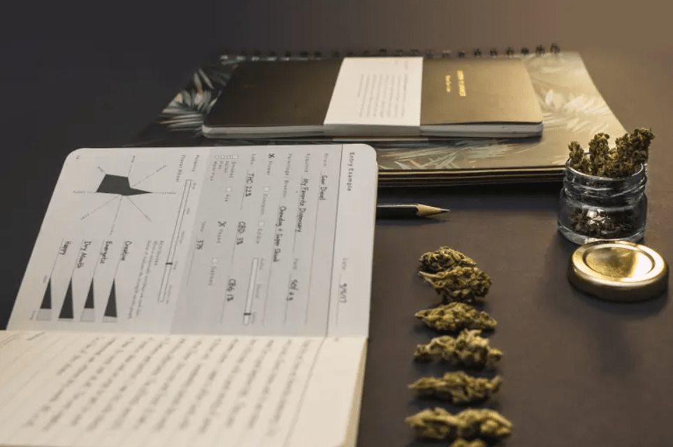 Cannabis Club in Barcelona