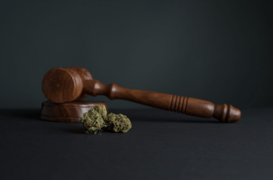 is cannabis legal in spain ?