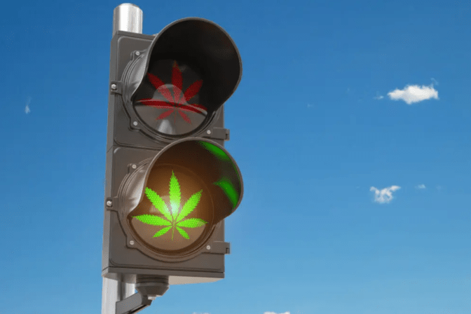 What Visitors Need to Know about Cannabis Laws in Barcelona