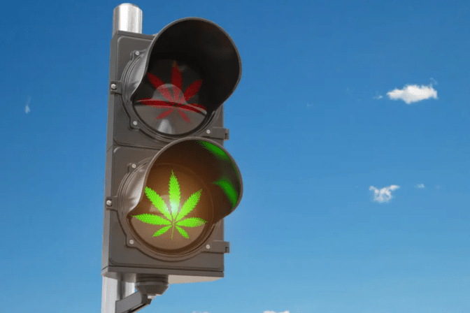 Cannabis Laws in Barcelona: Visitor’s Guide | Cannabis Laws Spain | Green Dream Club