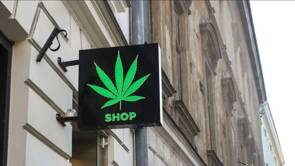 Green Dream Club your premier destination for top-quality cannabis products