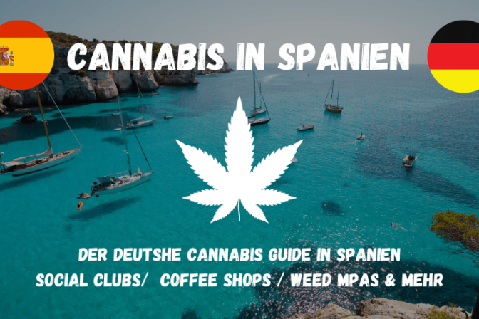 Cannabis Social Clubs in Spanien – Cannabis Club Einladung Spanien