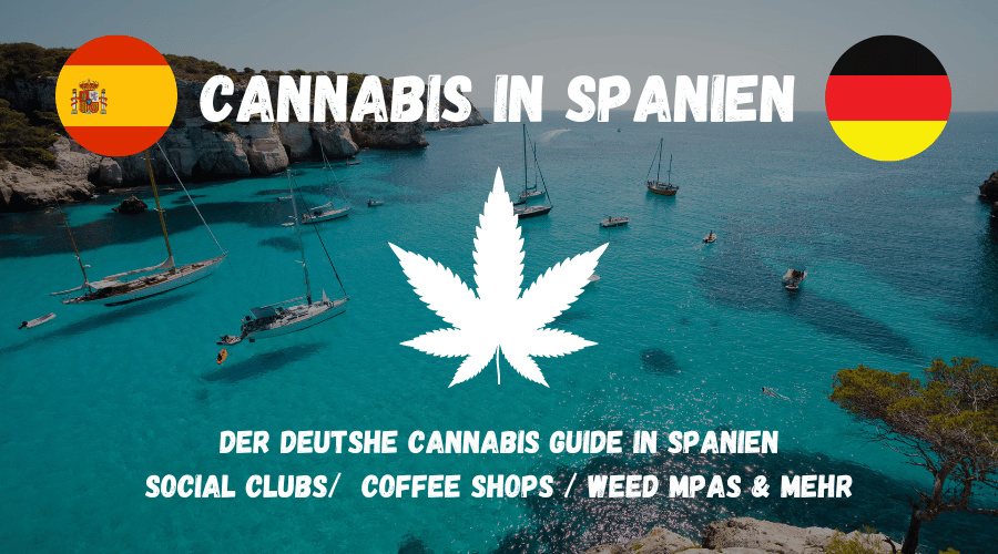 Cannabis Social Clubs in Spanien