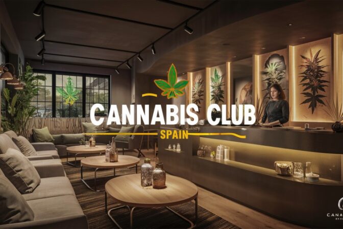 Why Join a Cannabis Club in Spain?