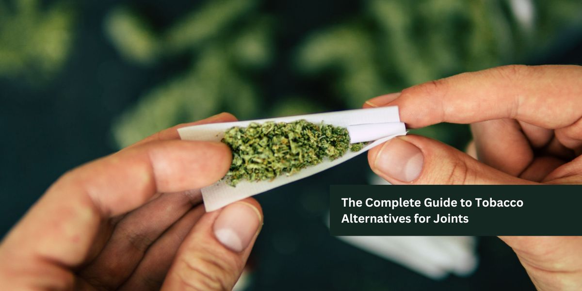 The Complete Guide to Tobacco Alternatives for Joints