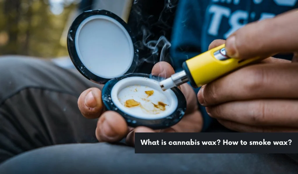 Cannabis-themed artwork by Green Dream Club