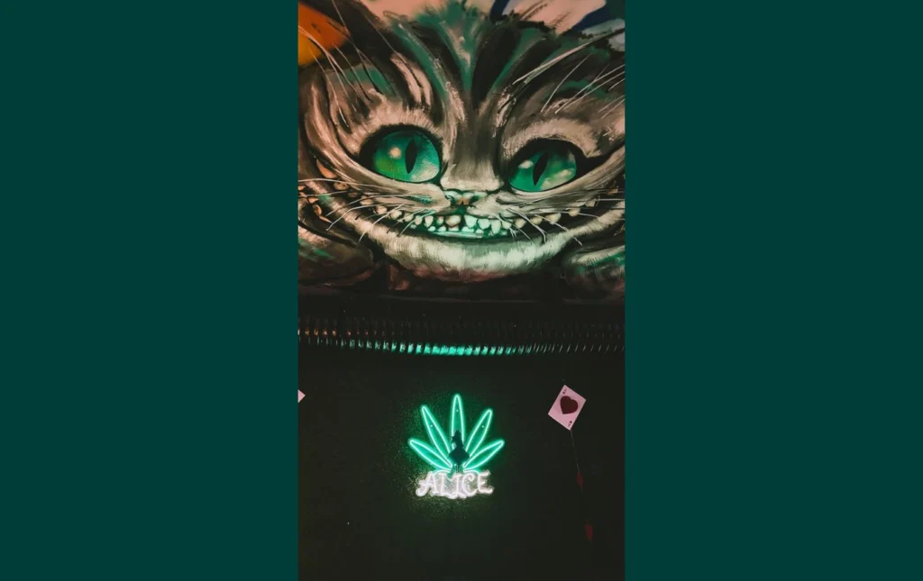 Interior decor of Green Dream Club location