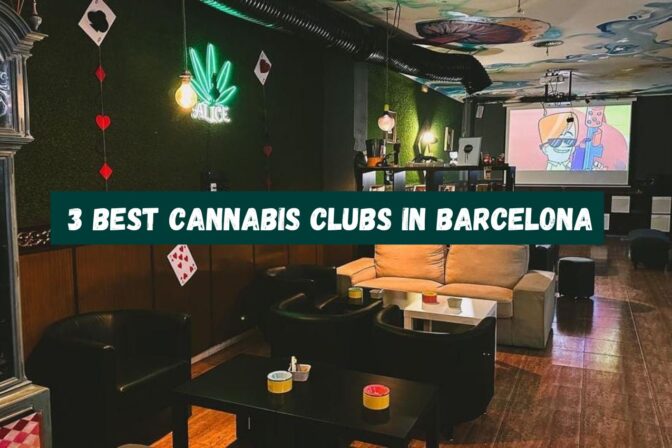 Discover the Best Cannabis Clubs in Barcelona