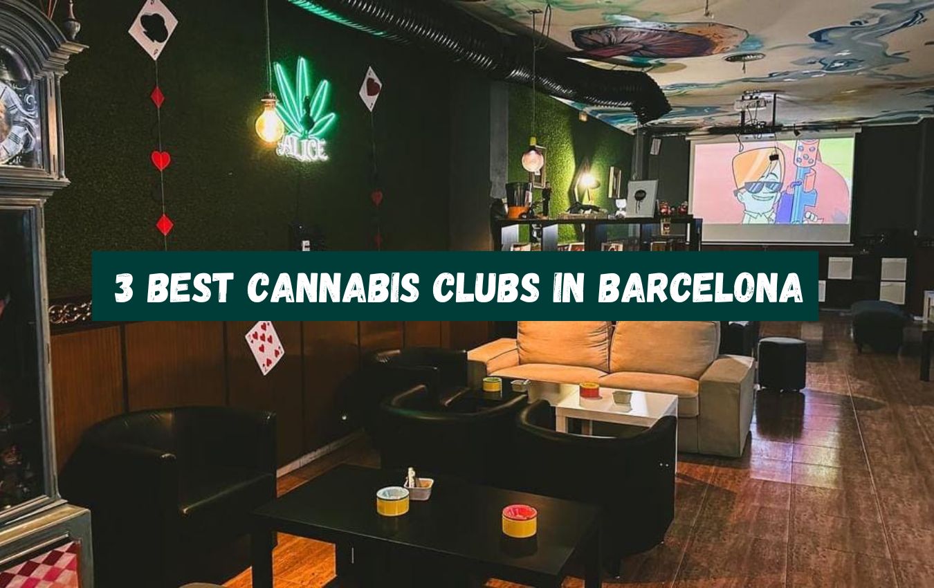 Discover the Best Cannabis Clubs in Barcelona