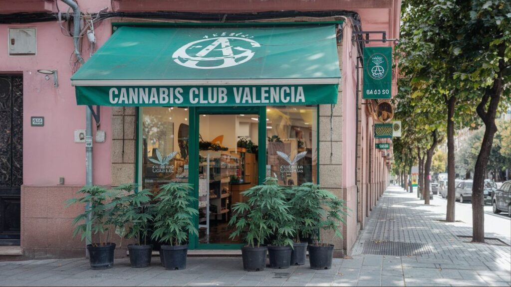 Cannabis in Valencia