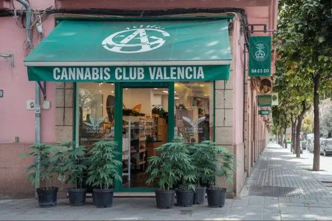 What You Need to Know About Cannabis in Valencia