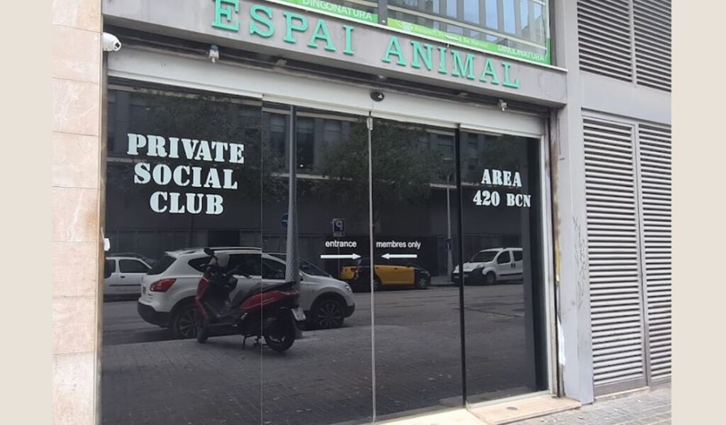 Area 420 Cannabis Club Barcelona – Best Private Cannabis Lounge