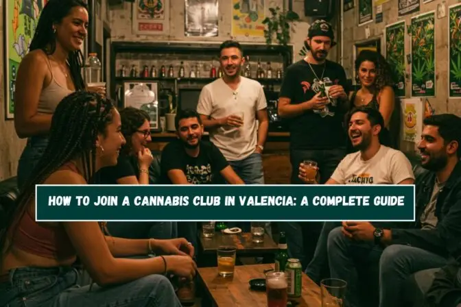 How to Join a Cannabis Club in Valencia: A Complete Guide