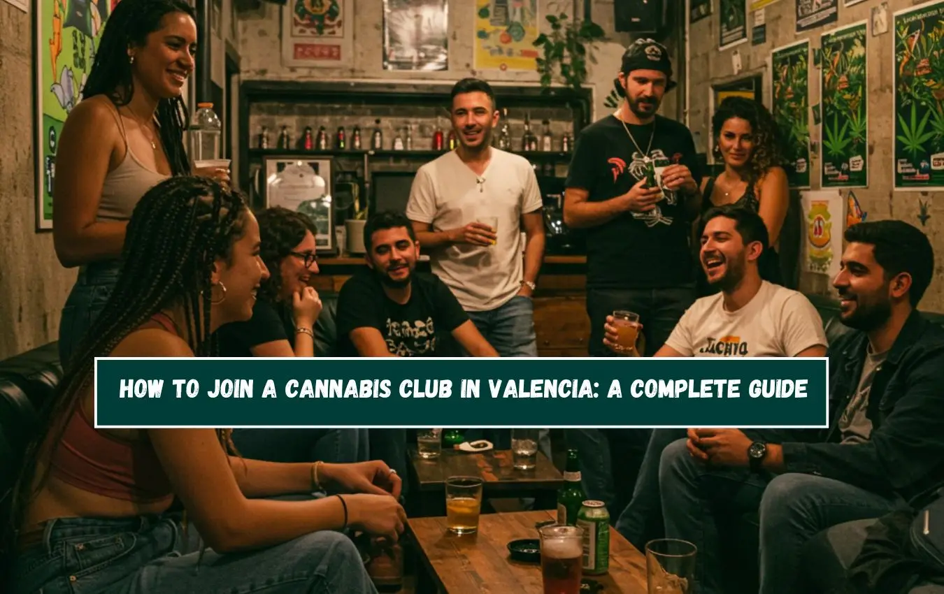 How to Join a Cannabis Club in Valencia: A Complete Guide