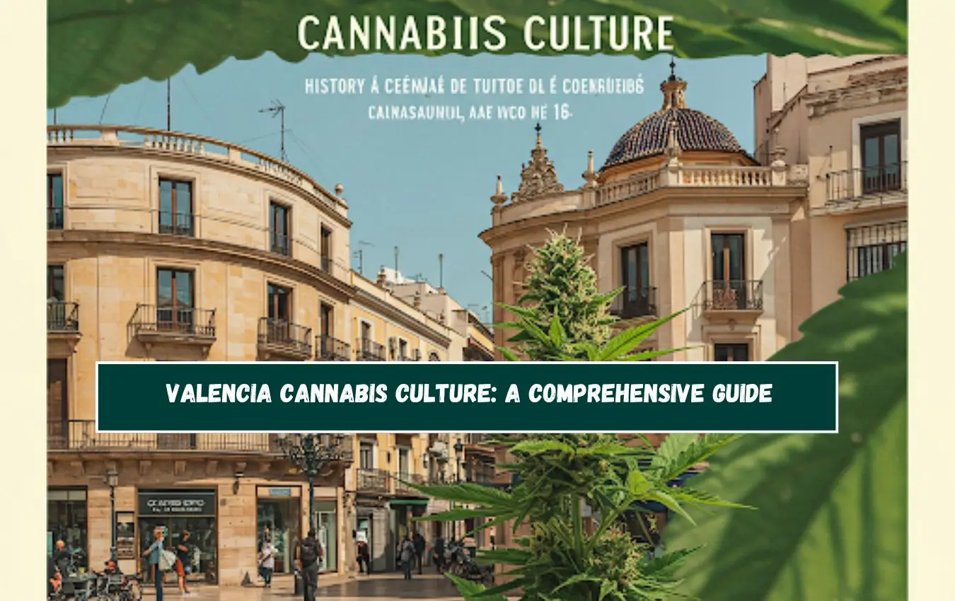 Cannabis in Valencia: Your Complete Guide to Social Clubs & Laws