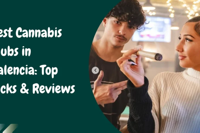 Best Cannabis Clubs in Valencia: Top Picks & Reviews