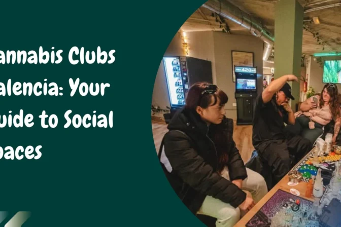 Cannabis Clubs Valencia: Your Guide to Social Spaces