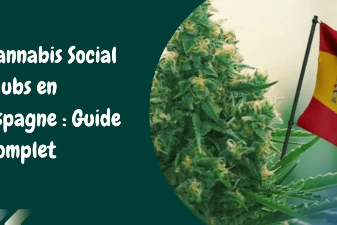 Cannabis Social Clubs en Espagne : Guide Complet