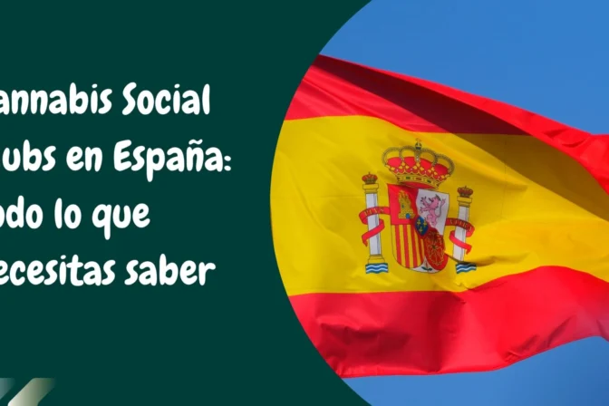 Cannabis Social Clubs en España: una completa guía