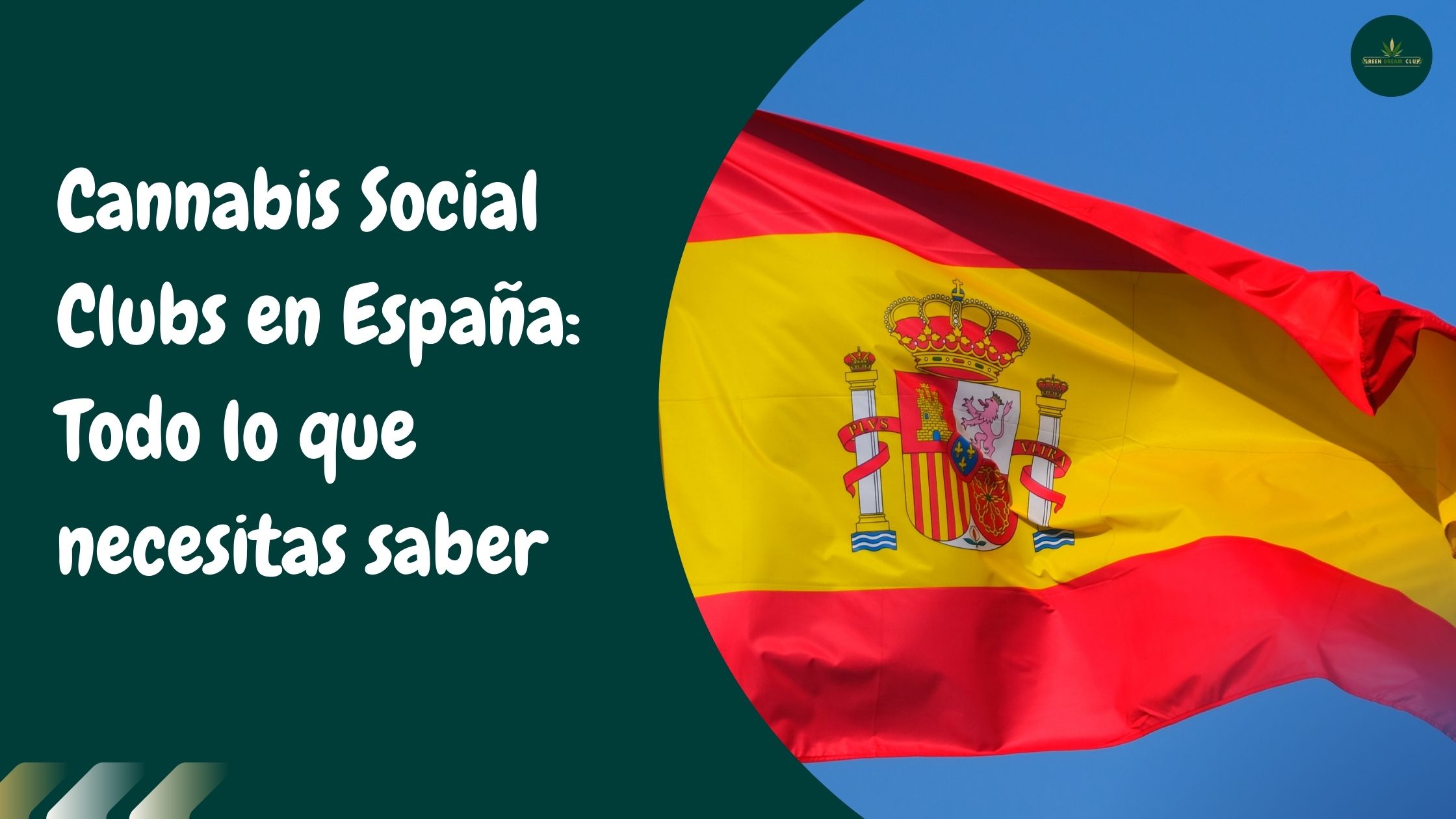 Cannabis Social Clubs en España: una completa guía