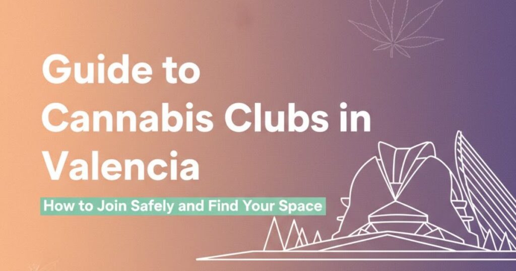 Guide to Cannabis Clubs in Valencia