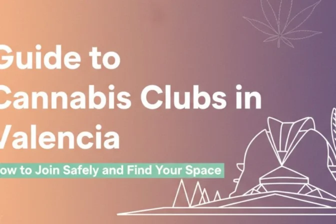 Guide to Cannabis Clubs in Valencia: How to Join Safely and Find Your Space