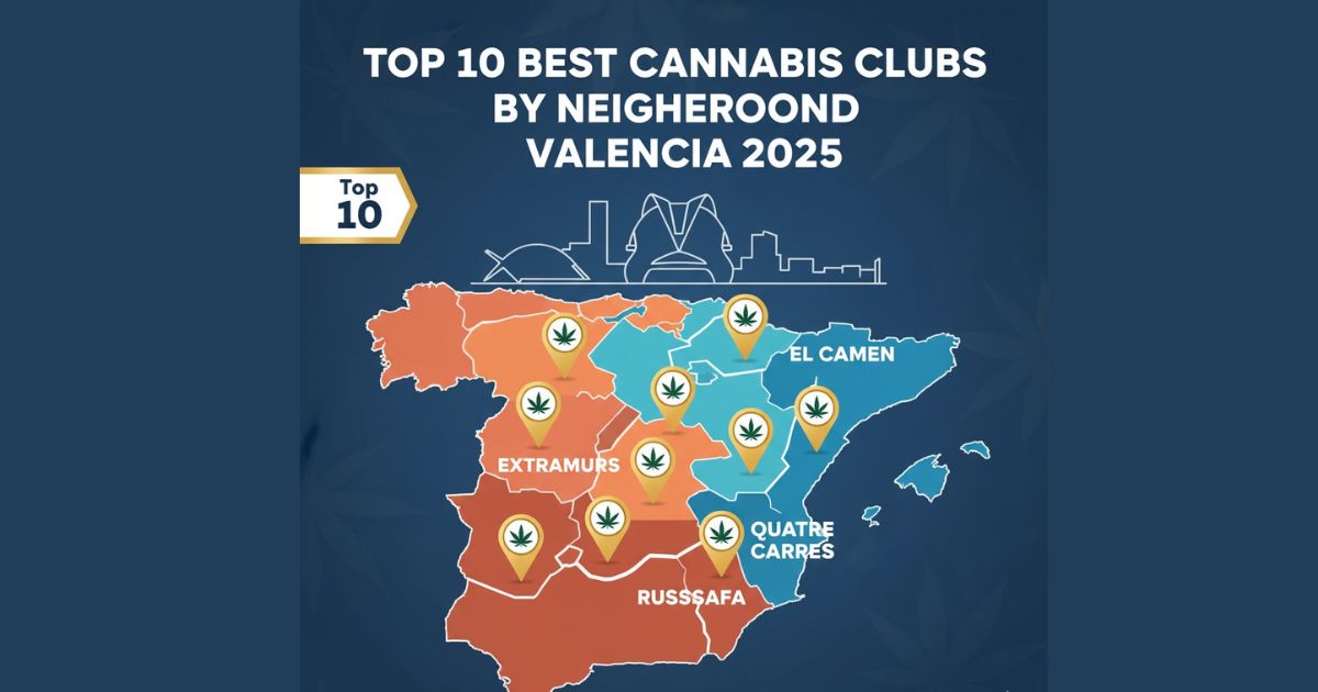 Top 10 Cannabis Clubs Valencia by Neighborhood 2025