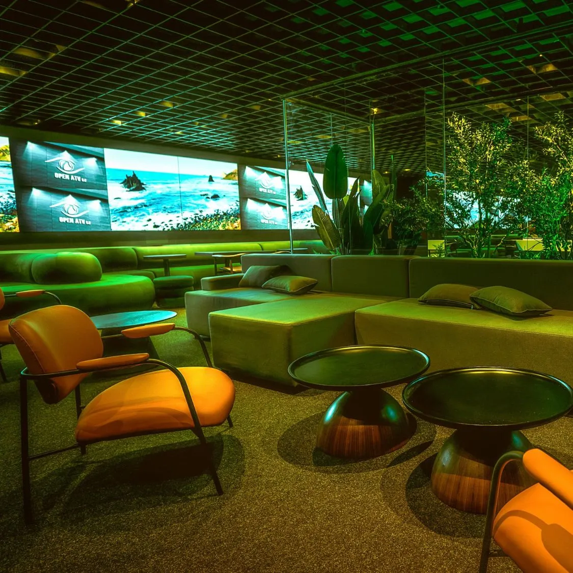 Tribe Lounge Berlin - cannabis clubs in berlin